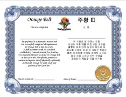 marial arts certificate